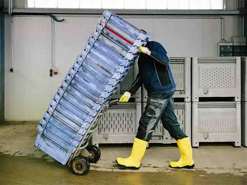 A worker taking the fresh meal for cold storage