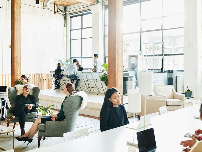 Diverse businesspeople working in a sunny, collaborative office space with plants and a variety of comfortable seating